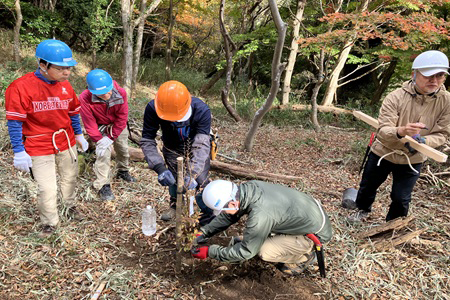 苗木に支柱を立てる