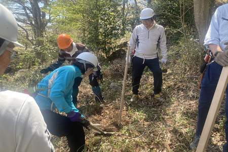 ウツギの植樹作業