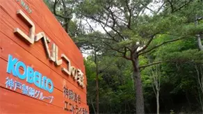 2011年度　第1回目 森開きのイメージ