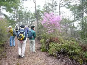 散策路に咲き誇る花々をながめながら、森の中を進みます。