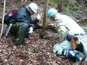 リーダーから間伐方法の指導を受けます。