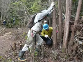 大木の伐採に挑戦！