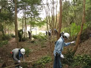 少しずつ森の中の見通しがよくなってきました。