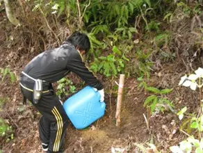 ヤマザクラの記念植樹作業を行ないました。