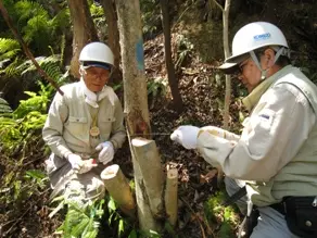 伐採作業を終えて思わず笑顔がこぼれます。
