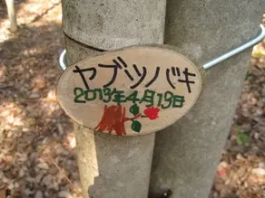 森を訪れた人が何の木か分かるようになりました。