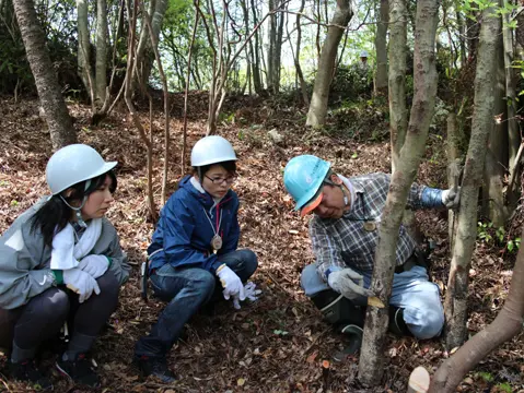 NPOの方から伐倒の仕方を熱心に学んでいます。まず受け口を入れて方向を定め、蝶つがいの原理で倒します。