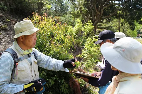 植物の名前にも由来があって、面白いですね。