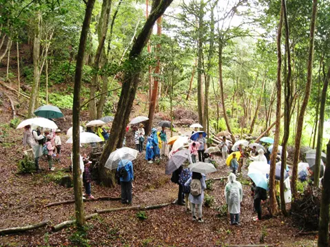 現地はしとしと雨模様でしたが、森の中に入ると木々が雨を和らげてくれました。