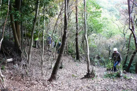 こちらは、継続して整備している植生エリア。春には新しい植物がみられるかもしれません。