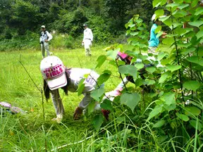 隠れたものを見つけるゲーム「カモフラージュ」。生き物が上手に隠れて生きていることを学びました。
