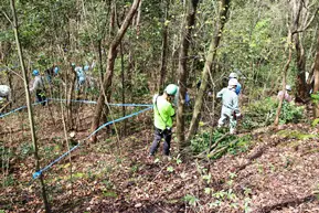 貴重種を保護しての整備活動です
