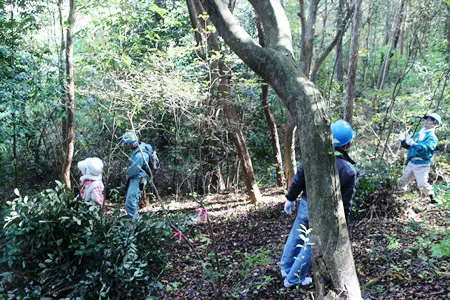 貴重種を保護しての整備活動です