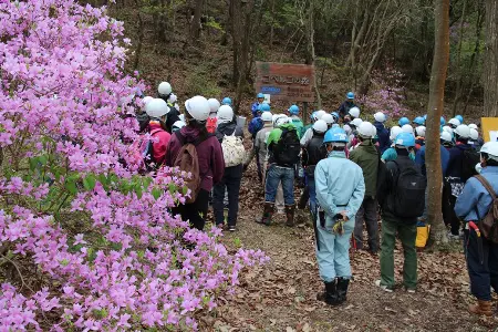 満開のコバノミツバツツジに見守られてオリエンテーション