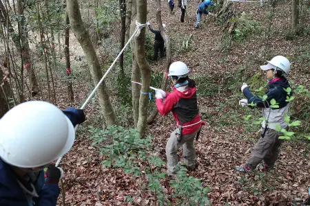 いよいよ伐採の開始。ガンバレー。