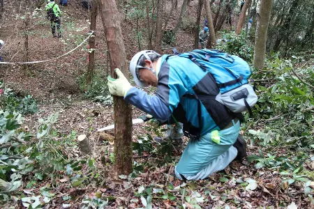 少し大きいけど頑張って切ってみよう