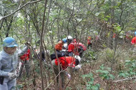 鬱蒼とした森に挑戦