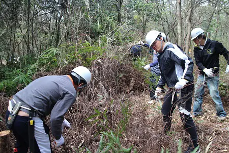 下草刈り