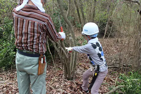 子どもも頑張った