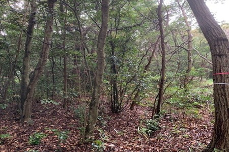 森林整備前の活動地