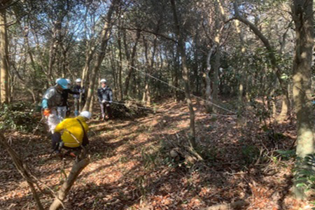 実習状況（伐採作業）
