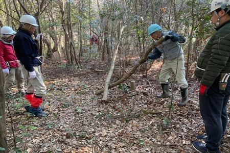 実習状況（伐採作業）