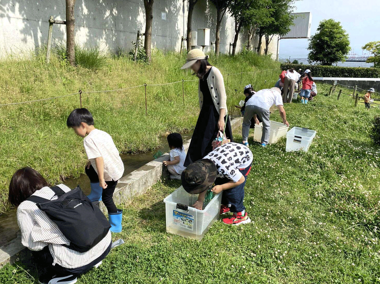 <子ども自然教室><br>ビオトープの生き物観察<br>|灘浜サイエンススクエア